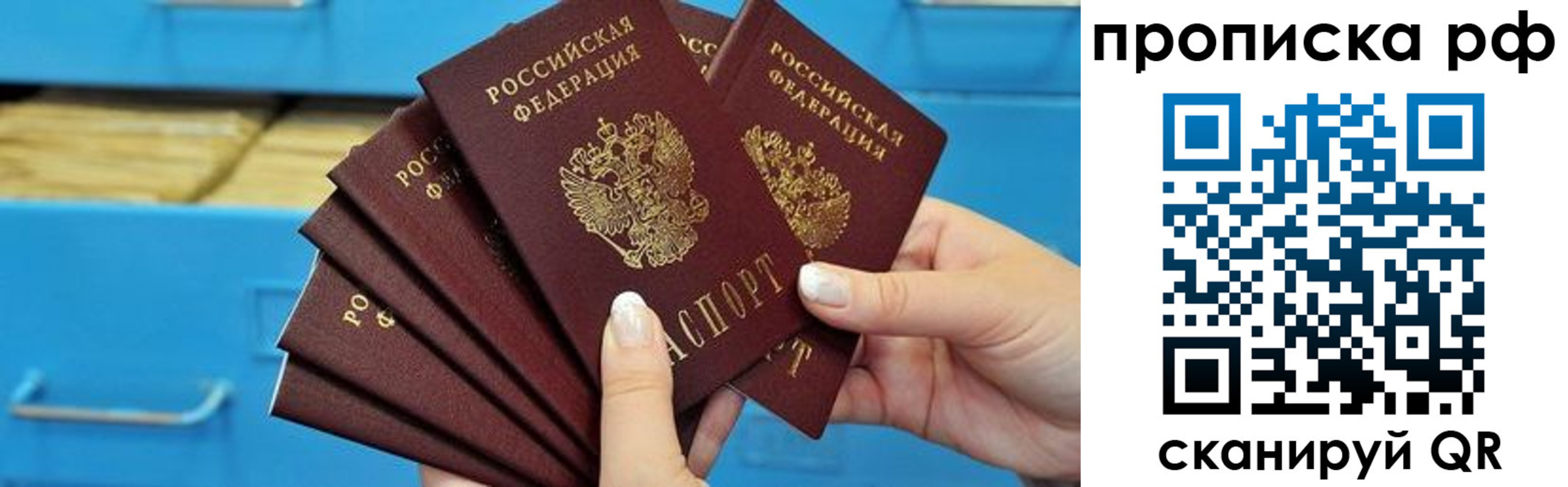 прописка поиск в Кудрово